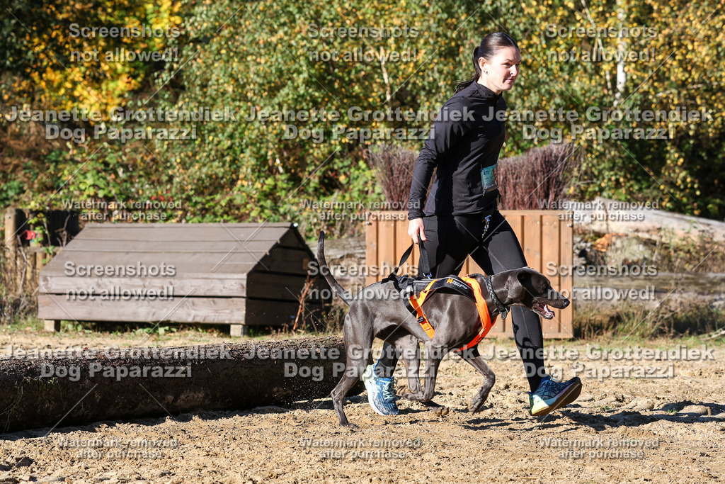 Dog Paparazzi - Strongdog 10-25-2089 | Dog Paparazzi Jeanette Grottendiek Fotografie & Videografie - Realisiert mit Pictrs.com