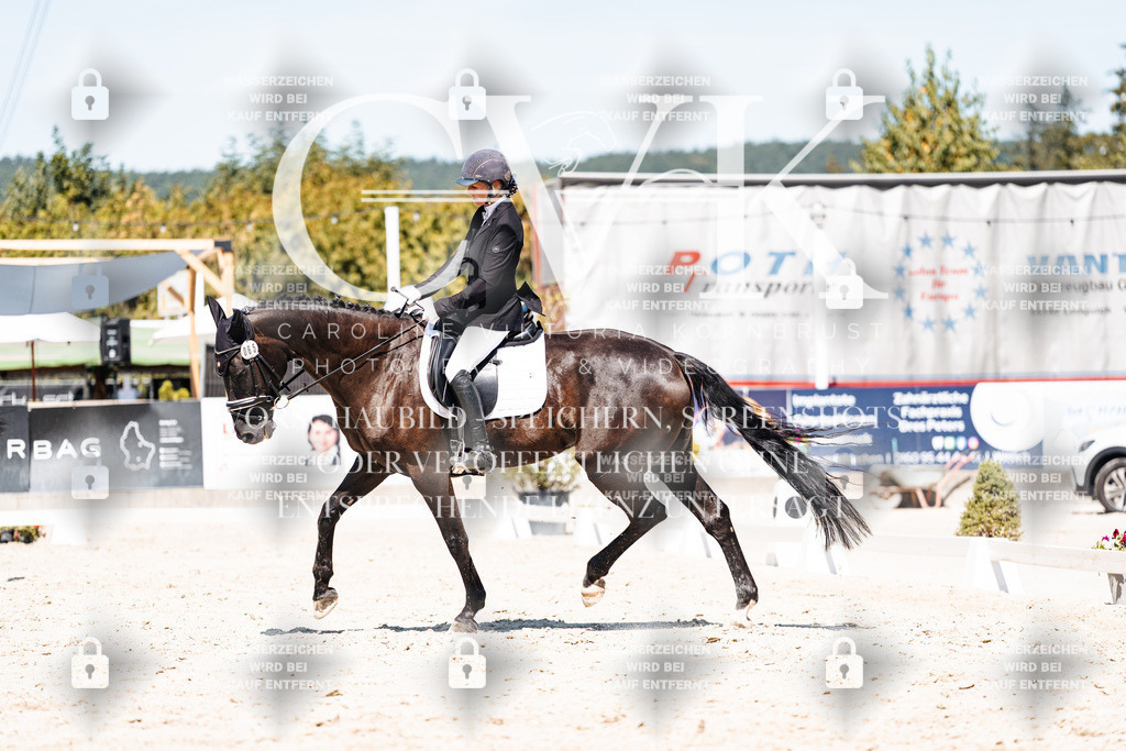 CK900143 | Turnierfotografie Pferdefotografie Trier Rheinland-Pfalz Pferdesport Reitsport Tierfotografie Sportfotografie Pferdevideo Pferdevideografie Equestrianvideography equestrianphotography  - Realisiert mit Pictrs.com