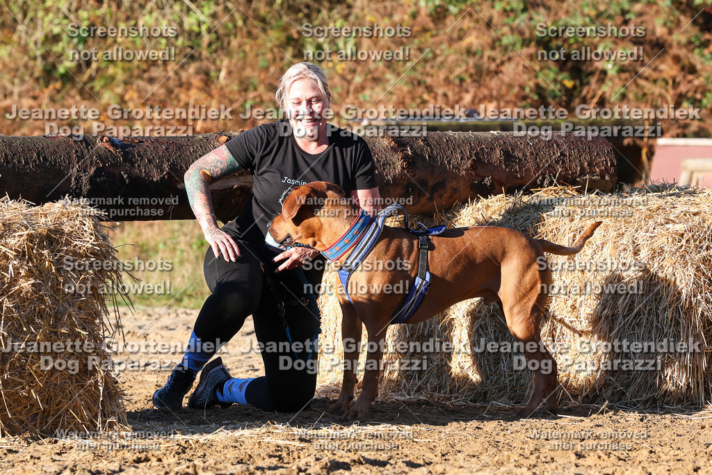Dog Paparazzi - Strongdog 10-25-1175 | Dog Paparazzi Jeanette Grottendiek Fotografie & Videografie - Realisiert mit Pictrs.com