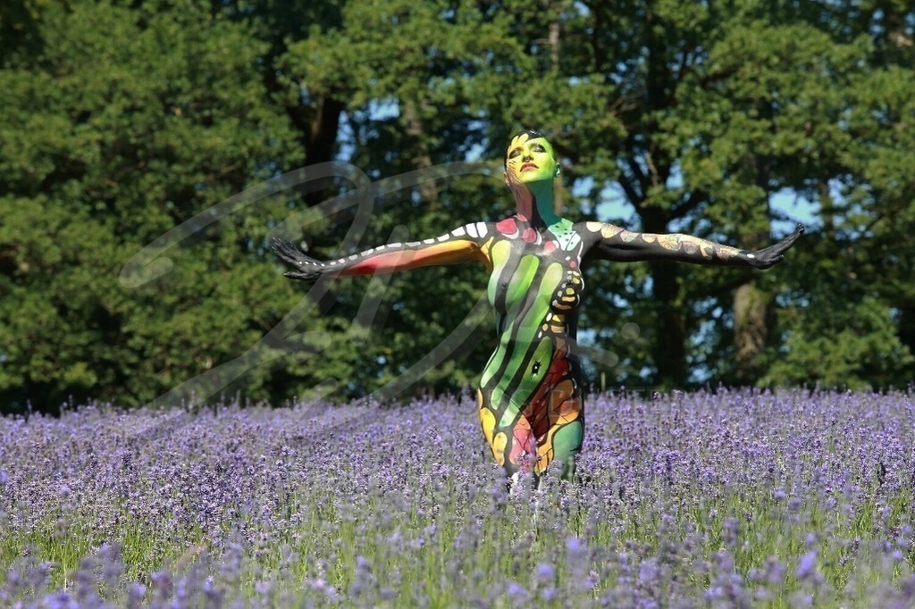 Bodypainting-LAVENDELBUTTERFLY_2946 | #002 | Modell: Mandy | Foto: Peter Bunn - Realisiert mit Pictrs.com