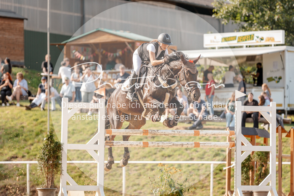 3I6A4858 | Stimmungsvolle Portraits und Reitsportfotografie im Ruhrgebiet und im Münsterland.

Pferdefotografie, Hundefotografie, Tierfotografie, Reportagen, Portraits von Tier und Mensch, Turnierfotografie in Bochum, Recklinghausen, Marl, Haltern am See, Dülmen.. - Realisiert mit Pictrs.com