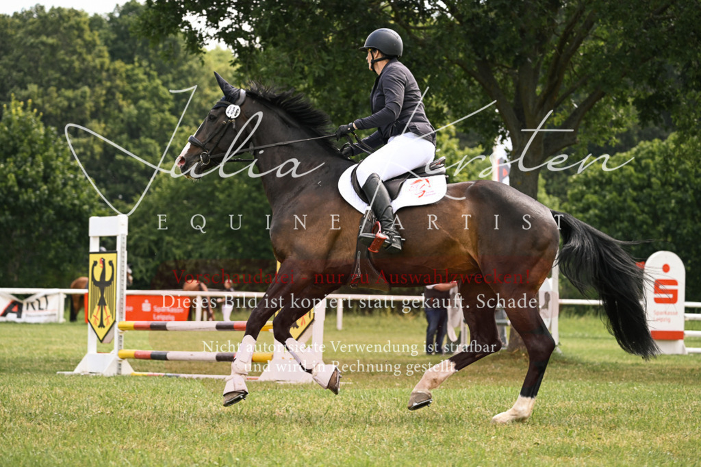 DSC_9107 | Pferde- und Turnierfotografie in Westsachsen. Pferdeportraits, Auftragszeichnungen und intuitive Kunst.