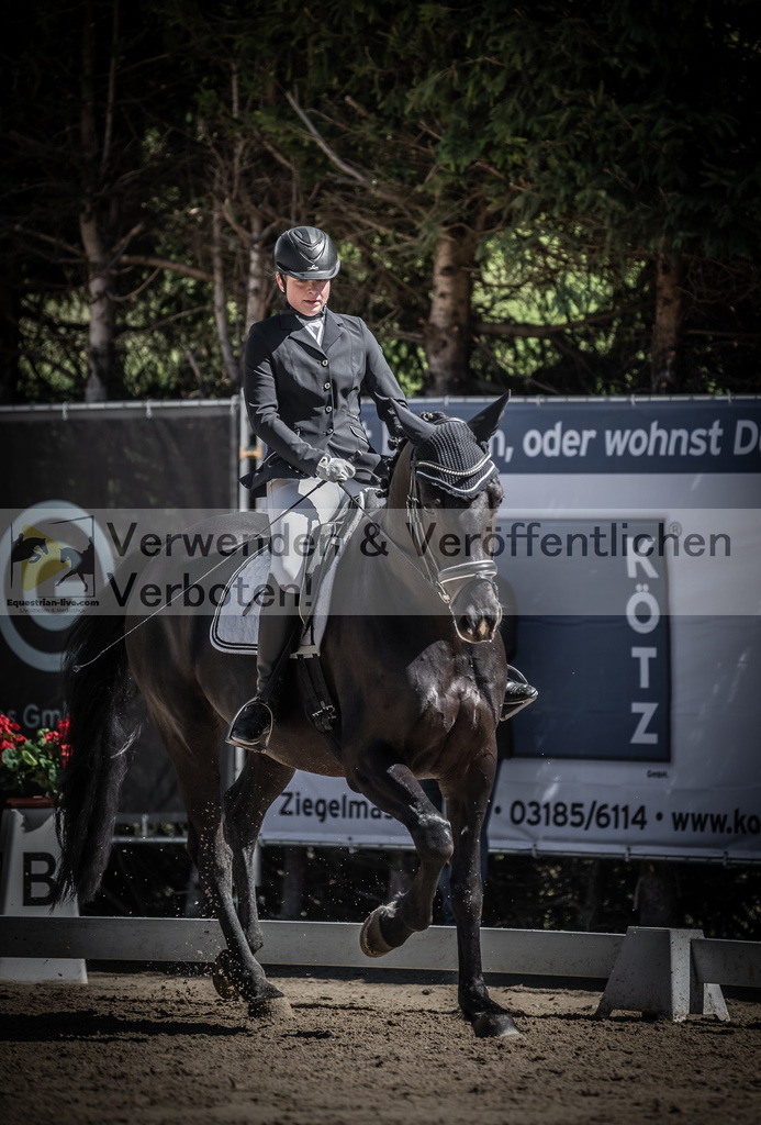 DSC_0204 | equestrian-live-com
