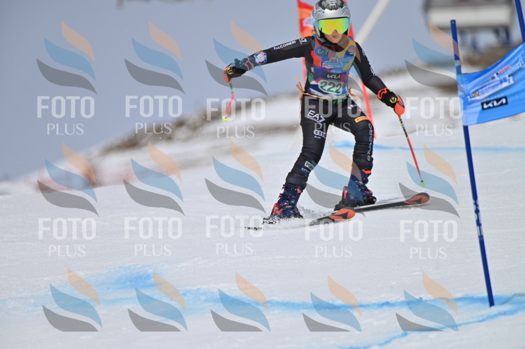 BGV_4351 | holidayphoto