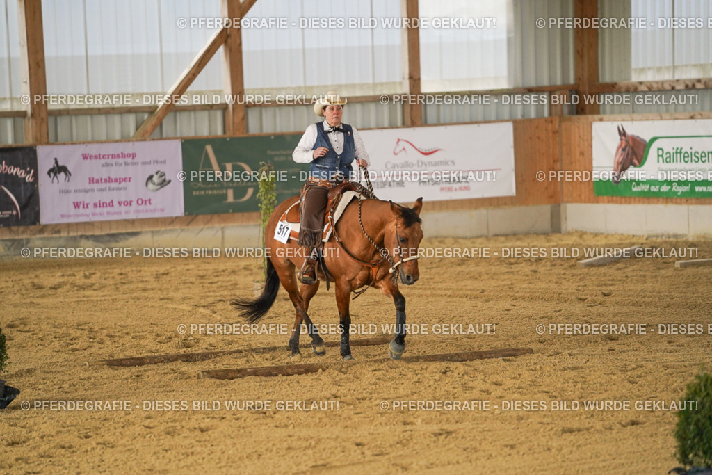 DSC05139 | Pferdegrafie