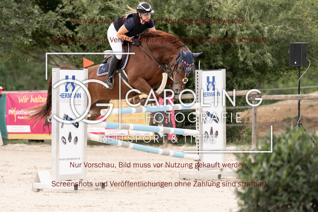 DSC06457 | Springturnier_Teamchallege_Talheim_2026, Romy_Hack, Alm_von_der_Hütlen