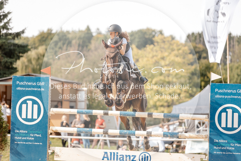 3I6A4842 | Stimmungsvolle Portraits und Reitsportfotografie im Ruhrgebiet und im Münsterland.

Pferdefotografie, Hundefotografie, Tierfotografie, Reportagen, Portraits von Tier und Mensch, Turnierfotografie in Bochum, Recklinghausen, Marl, Haltern am See, Dülmen.. - Realisiert mit Pictrs.com