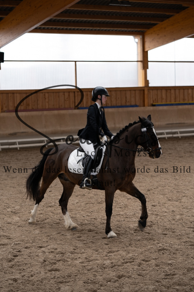 A7V09685 | Pferdefotograf