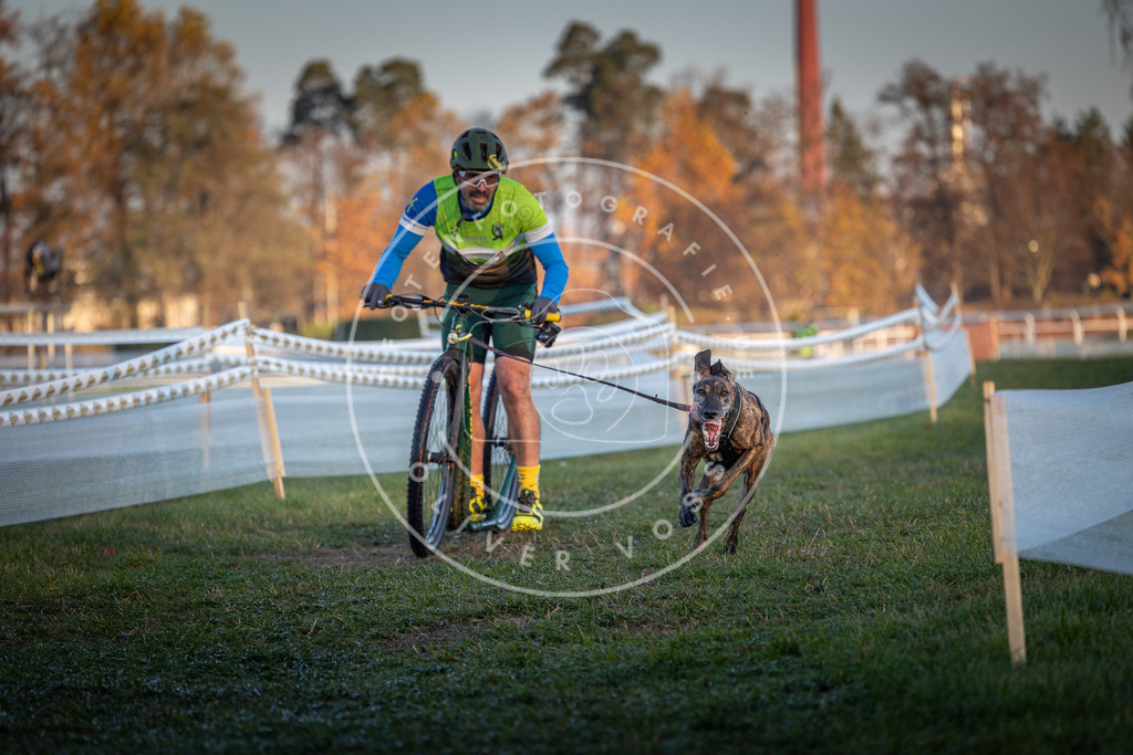 CaniXpix_0L8A2586 | Hundefotografie, Tierfotograf, Pfotenfotografie, Fotoshooting Hund, Hunde Portrait, Hundesport, Hundeportraits, Heideshooting, Hunde, Sportfotograf, Hundefotograf, Turnierhundsport, THS,  - Realisiert mit Pictrs.com