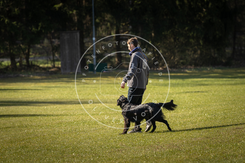 Pfotenfotografie_DV3A0151 | Hundefotografie, Tierfotograf, Pfotenfotografie, Fotoshooting Hund, Hunde Portrait, Hundesport, Hundeportraits, Heideshooting, Hunde, Sportfotograf, Hundefotograf, Turnierhundsport, THS,  - Realisiert mit Pictrs.com