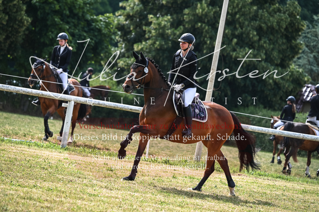 DSC_8420 | Pferde- und Turnierfotografie in Westsachsen. Pferdeportraits, Auftragszeichnungen und intuitive Kunst.