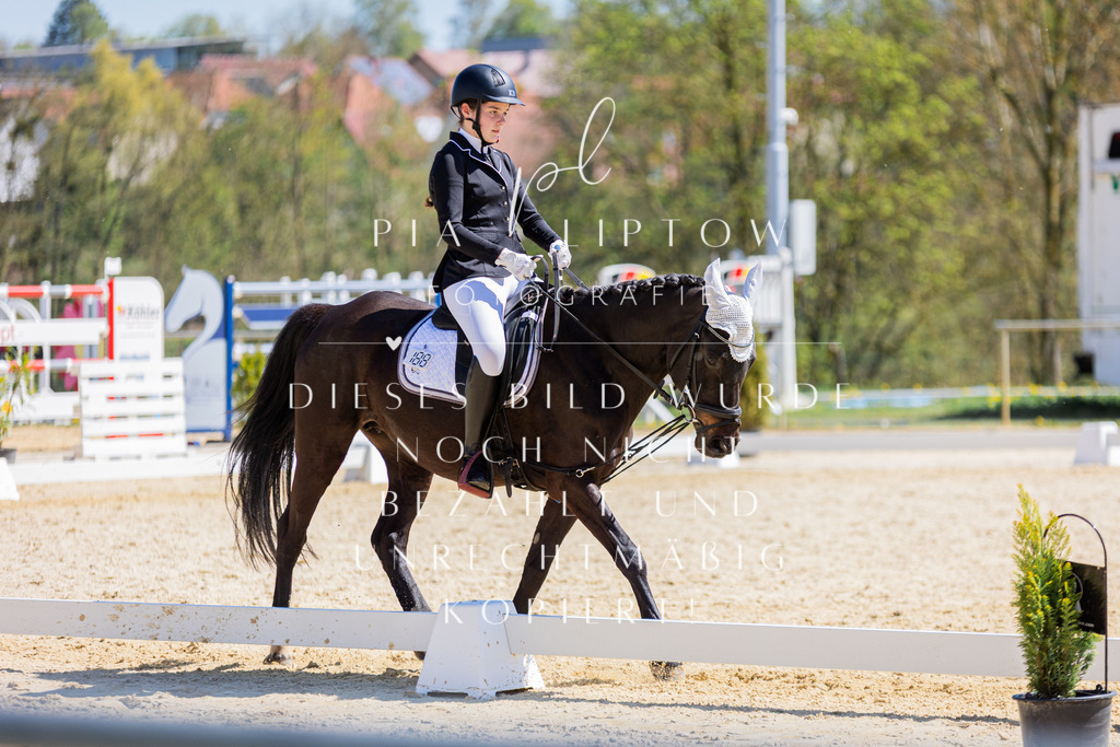 IMGT1042 | pl-fotografie