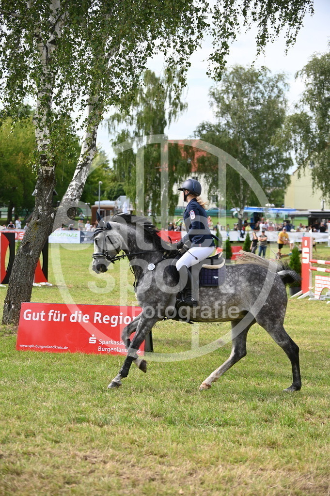 DSC_2897 | sattelsport - Realisiert mit Pictrs.com