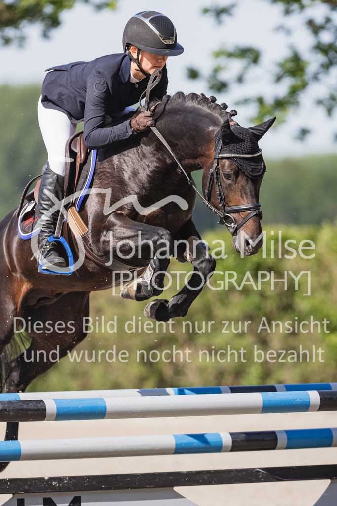 250621_Lemwerder_QualiBuChaPonys5j-107 | Deine schönsten Turniermomente als professionelle Fotos! Entdecke hochwertige Pferdesport-Fotografie im Online-Shop. Jetzt Fotos finden & bestellen!