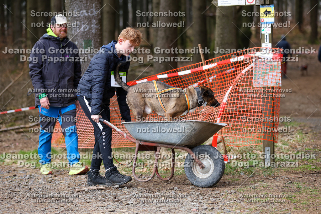 Dog Paparazzi - VCC26-708 | Dog Paparazzi Jeanette Grottendiek Fotografie & Videografie - Realisiert mit Pictrs.com