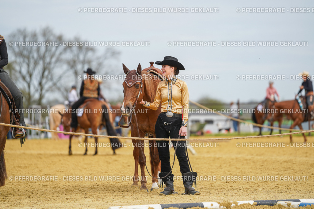 DSC03454 | Pferdegrafie