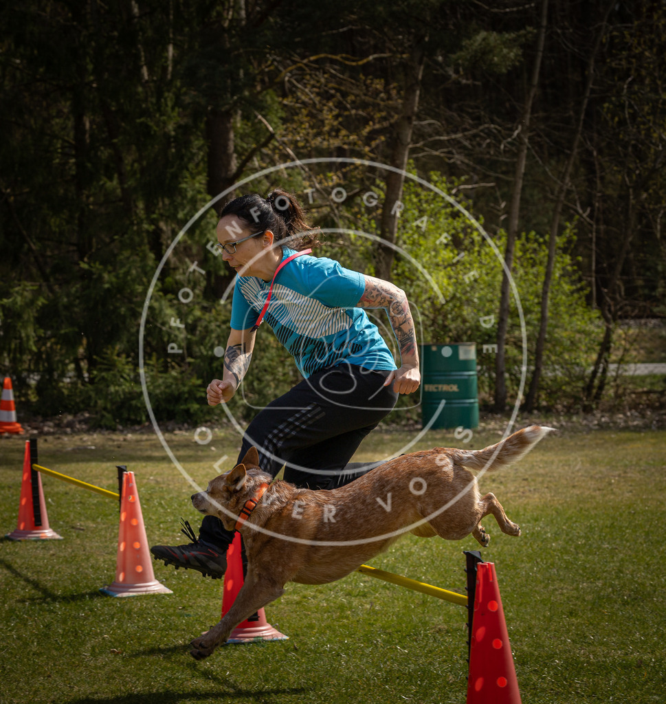Pfotenfotografie_DV3A3947 | Hundefotografie, Tierfotograf, Pfotenfotografie, Fotoshooting Hund, Hunde Portrait, Hundesport, Hundeportraits, Heideshooting, Hunde, Sportfotograf, Hundefotograf, Turnierhundsport, THS,  - Realisiert mit Pictrs.com