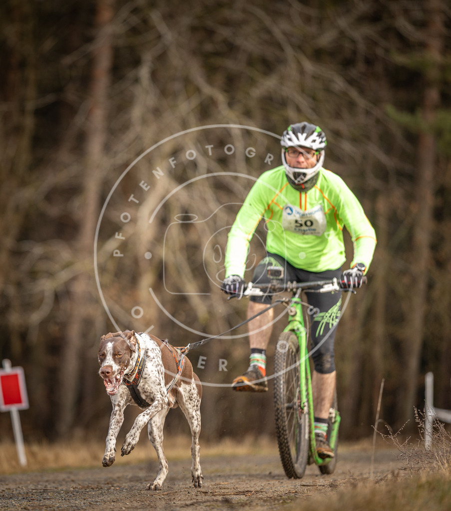 DV3A3421 | Hundefotografie, Tierfotograf, Pfotenfotografie, Fotoshooting Hund, Hunde Portrait, Hundesport, Hundeportraits, Heideshooting, Hunde, Sportfotograf, Hundefotograf, Turnierhundsport, THS,  - Realisiert mit Pictrs.com