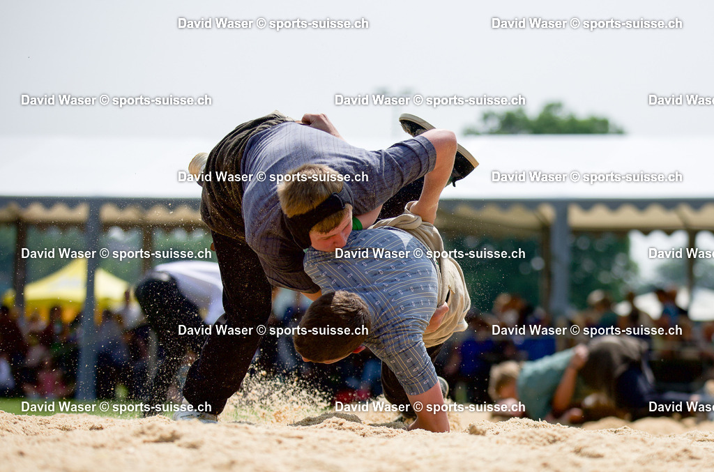 Krummen Matthias (2009) - Steiner Nico (2009) _ la 17. Schwingertag Laupen_ 09.06.2025 (2) | Krummen Matthias (2009) - Steiner Nico (2009) à la 17. Schwingertag Laupen, 09.06.2025