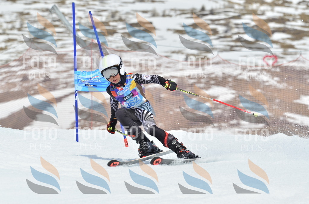 _ELE2880 | holidayphoto