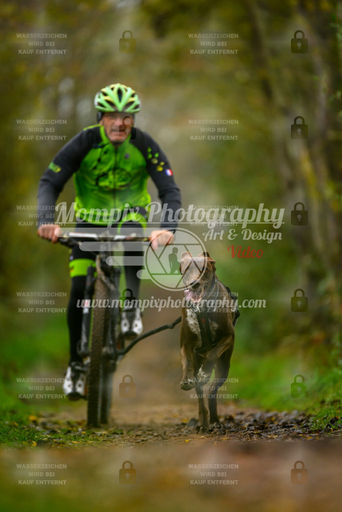 MompixPhotography_20TSB_E6_Bike-5 | PayLife