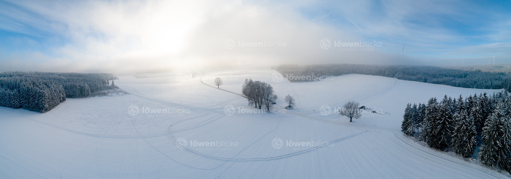 Nebel auf der Alb | löwenblicke | shop