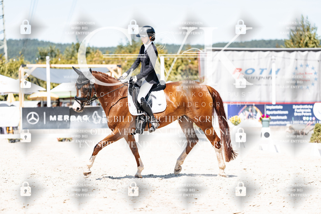 CK900494 | Turnierfotografie Pferdefotografie Trier Rheinland-Pfalz Pferdesport Reitsport Tierfotografie Sportfotografie Pferdevideo Pferdevideografie Equestrianvideography equestrianphotography  - Realisiert mit Pictrs.com
