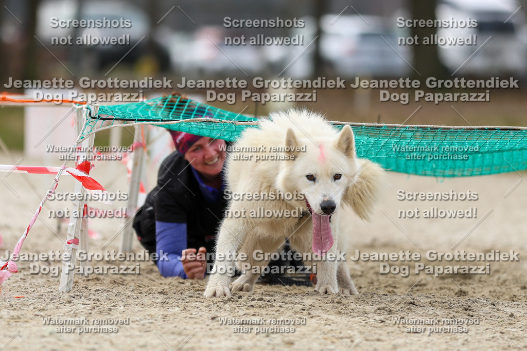 Dog Paparazzi - Strongdog North Mrz26-5740 | Dog Paparazzi Jeanette Grottendiek Fotografie & Videografie - Realisiert mit Pictrs.com