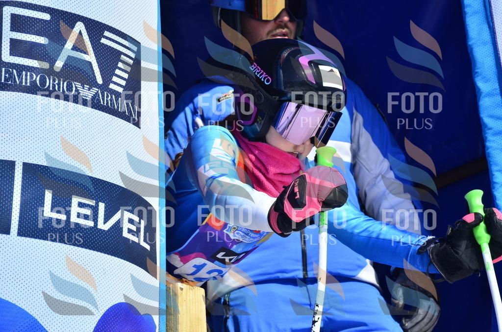 _ELE0801 | holidayphoto