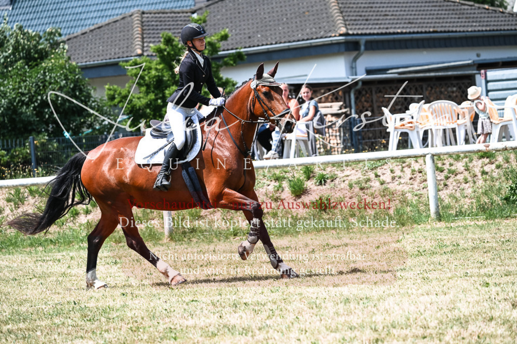 DSC_9569 | Pferde- und Turnierfotografie in Westsachsen. Pferdeportraits, Auftragszeichnungen und intuitive Kunst.