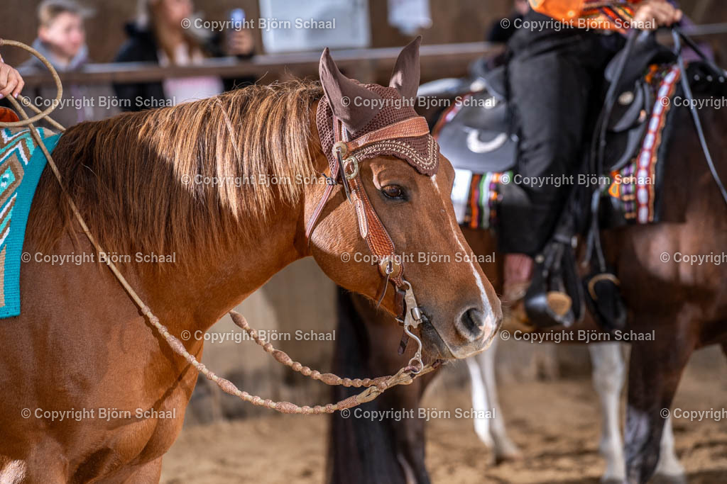 LMB00187 | BS-foto