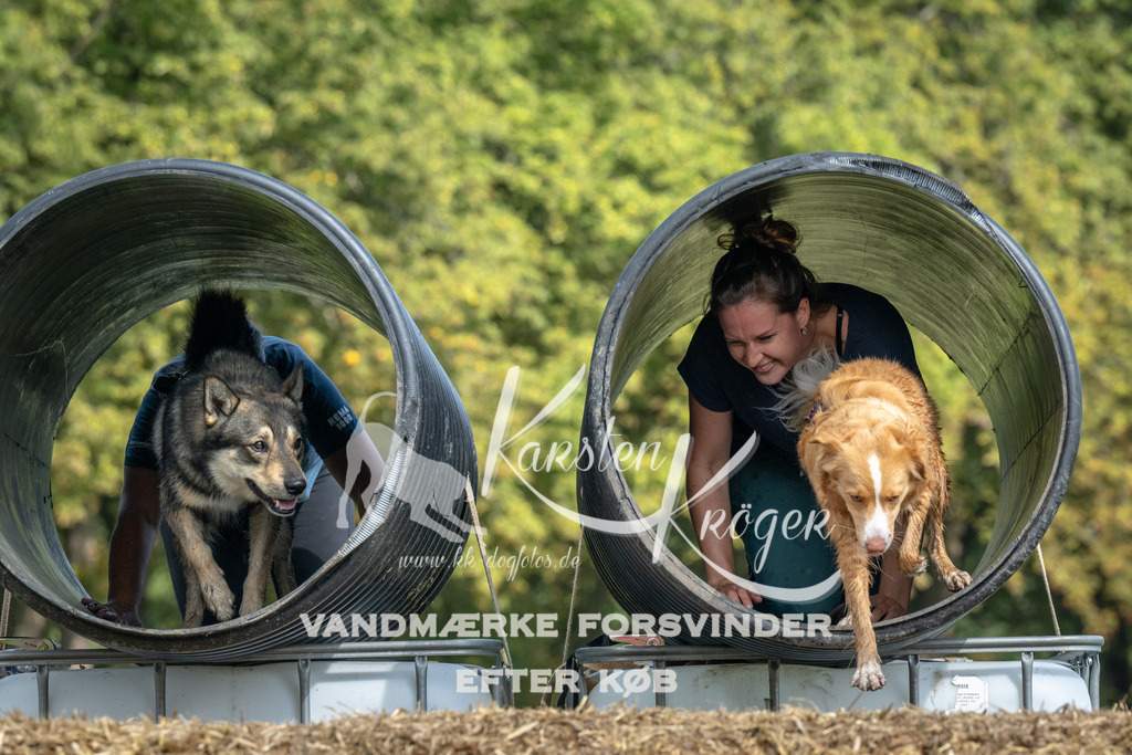 1405_ZZ90446 | kk-dogfotos