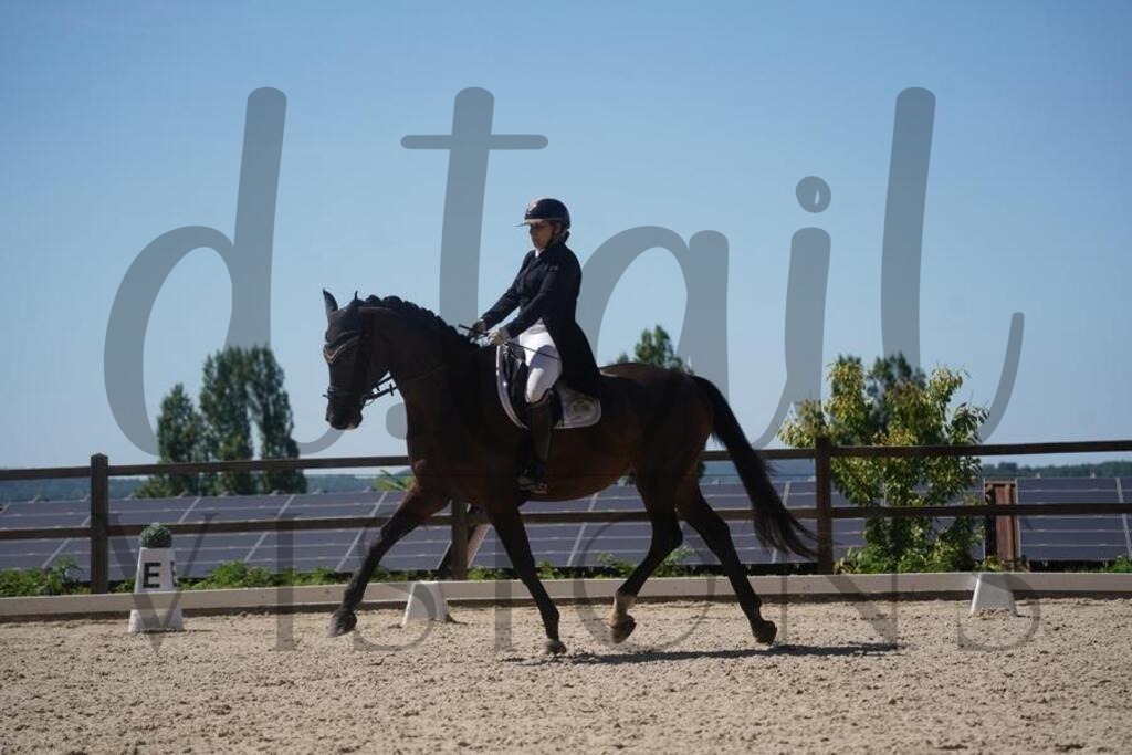 tgbhsonntag (1395) | d.tail Visions - Shop - Realisiert mit Pictrs.com