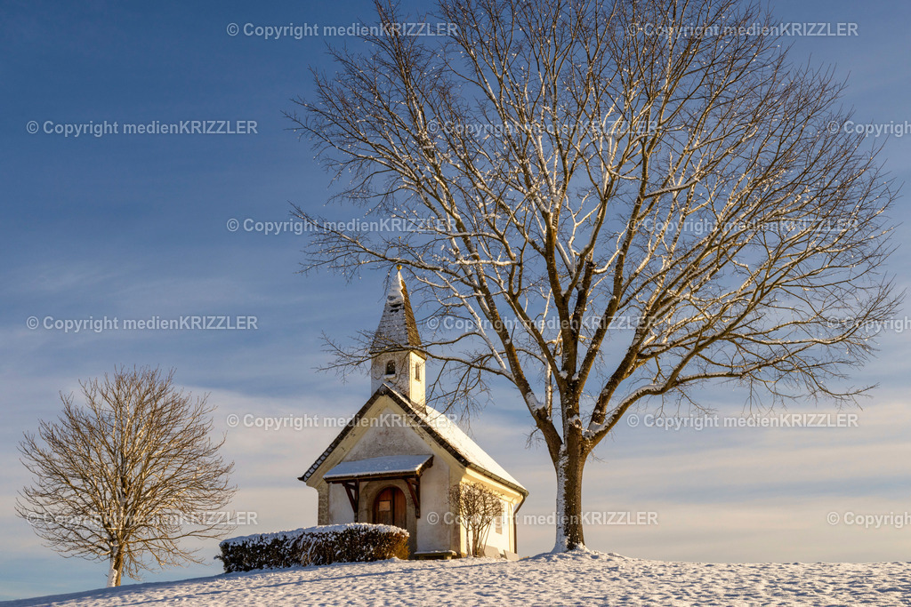 _J3A6778 | medienkrizzler - Realisiert mit Pictrs.com