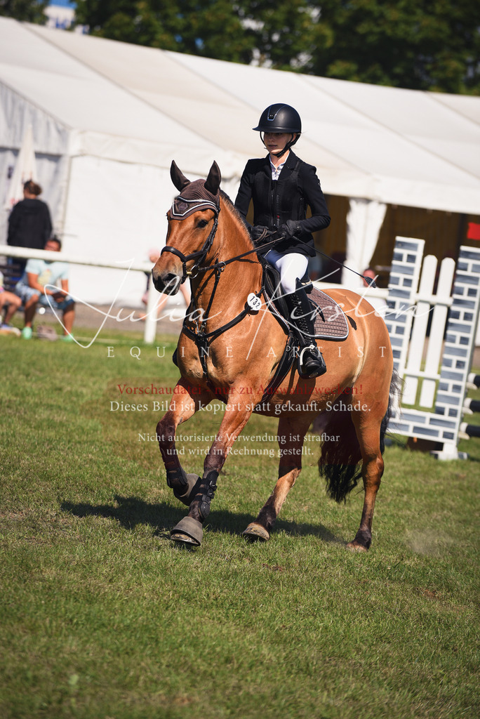 DSC_9241 | Pferde- und Turnierfotografie in Westsachsen. Pferdeportraits, Auftragszeichnungen und intuitive Kunst.