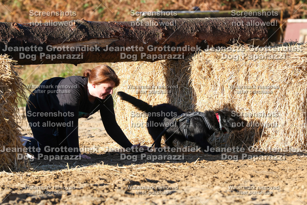 Dog Paparazzi - Strongdog 10-25-1334 | Dog Paparazzi Jeanette Grottendiek Fotografie & Videografie - Realisiert mit Pictrs.com