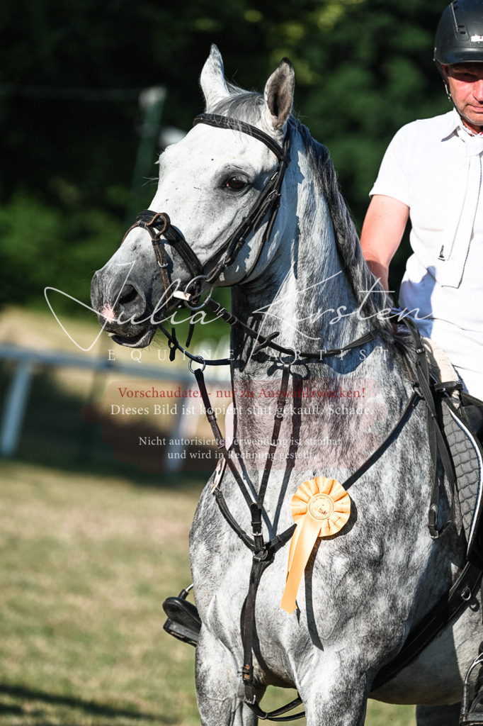 DSC_3187 | Pferde- und Turnierfotografie in Westsachsen. Pferdeportraits, Auftragszeichnungen und intuitive Kunst.