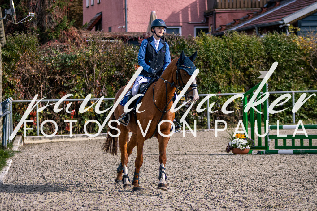 IMG_5457 | Erleben Sie dynamische Sport- und emotionale Tierfotografie in Süddeutschland mit Fotos von Paula. Spezialisiert auf Pferde- und Hundefotografie sowie Sportevents. Kontaktieren Sie mich für einzigartige und ausdrucksstarke Bilder Ihrer besonderen Momente.