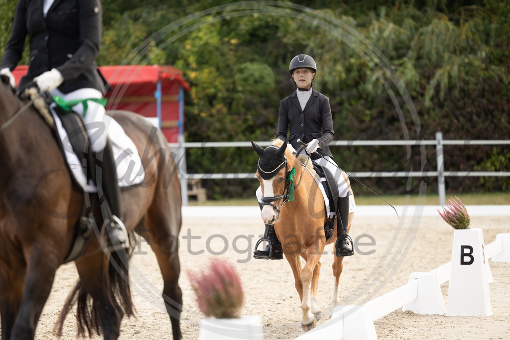 994A0912 | sabrinanicolaifotografie - Realisiert mit Pictrs.com