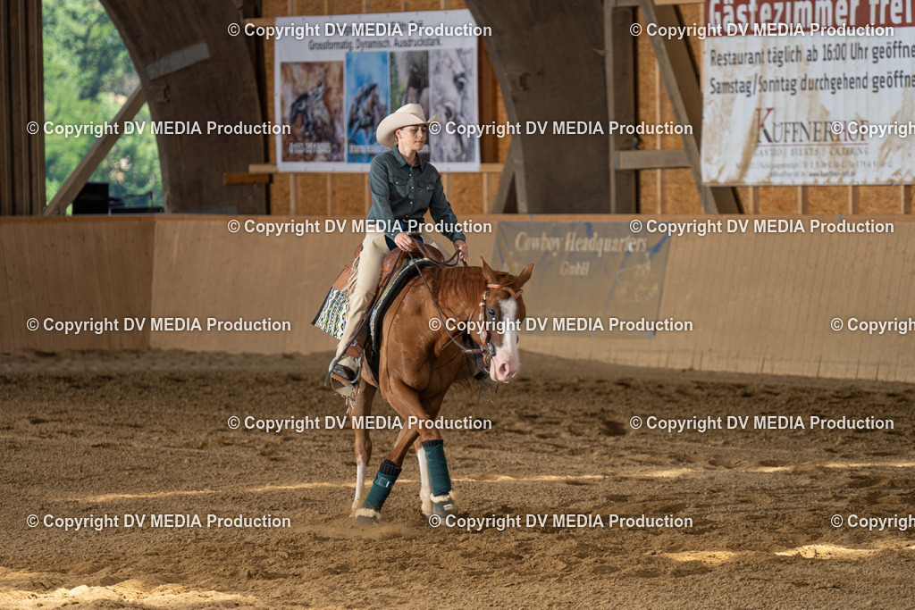 DSC00056 | dv-media-shop - Realisiert mit Pictrs.com