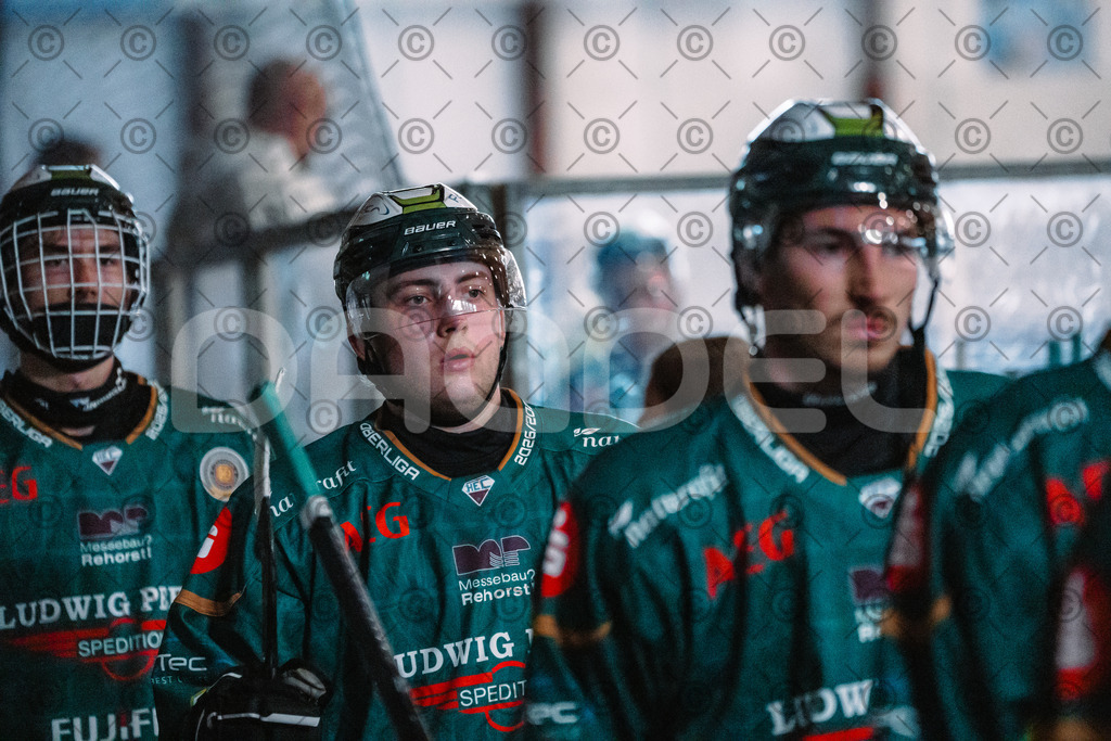 Alligators_vs_Erfurt_06_09_2026-26 | Die Fotogalerie von Daddel: professionelle Bilder von Sport, Events und Unternehmen aus Franken. Jetzt Galerien durchstöbern und Lieblingsfotos bestellen. - Realisiert mit Pictrs.com