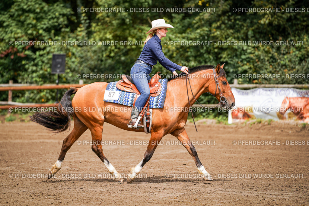 DSC06160 | Pferdegrafie