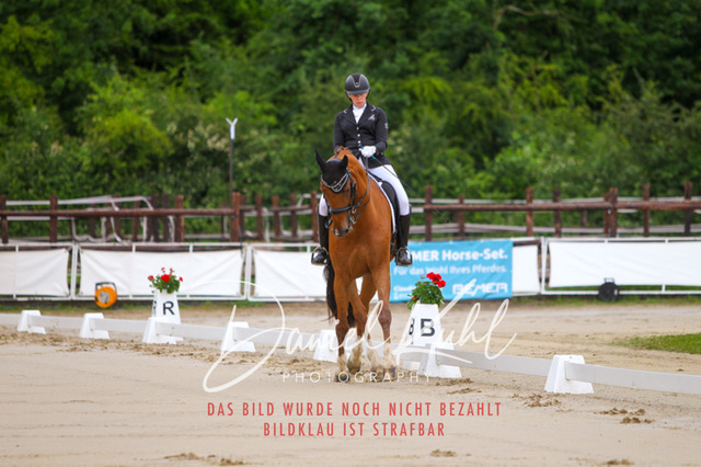 DKP46620 | Turniersportfotografie; Pferdefotografie; Dressurfotografie