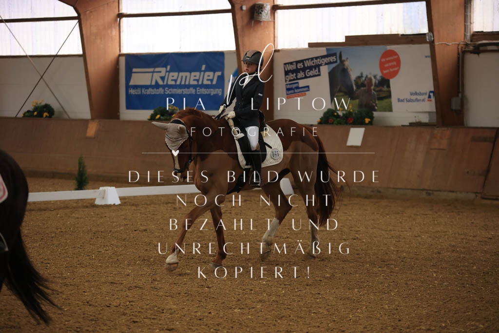 IMGT9997 | pl-fotografie