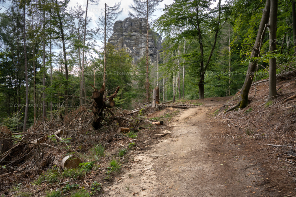 Rosssteig_Goldstein_Wald_Waldweg_Felsen_Felsturm | 2022-08-30_Waldbrandgebiete_1 - Realisiert mit Pictrs.com