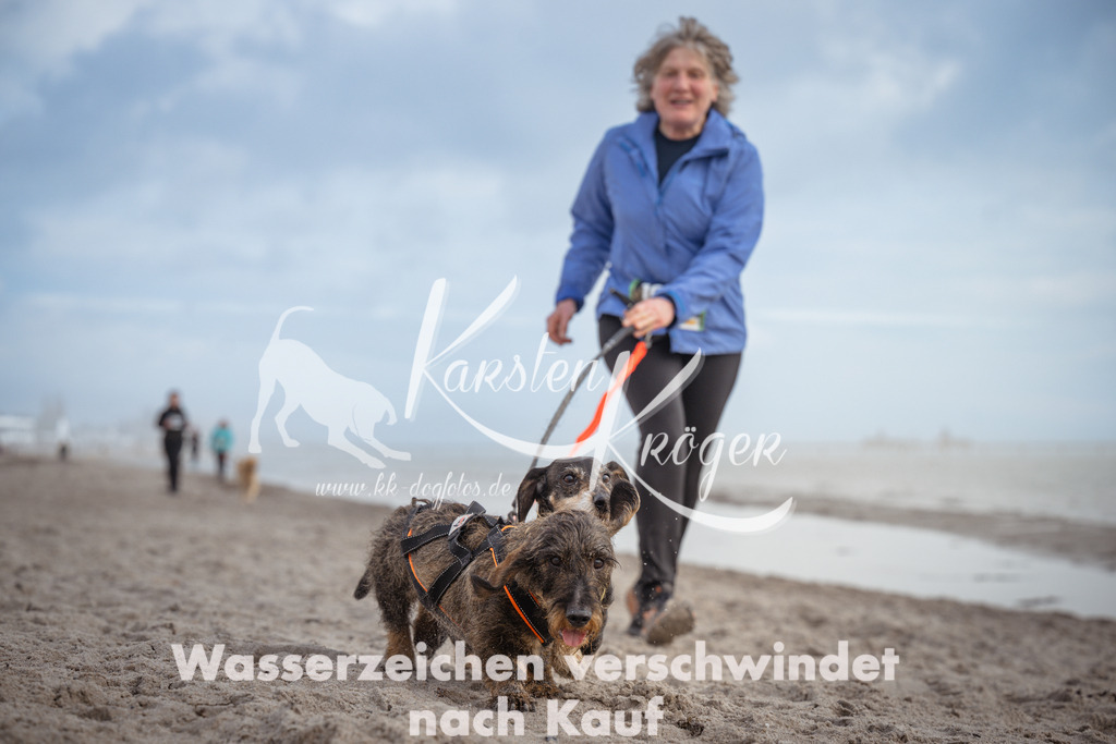 1211_ZZ94674 | kk-dogfotos