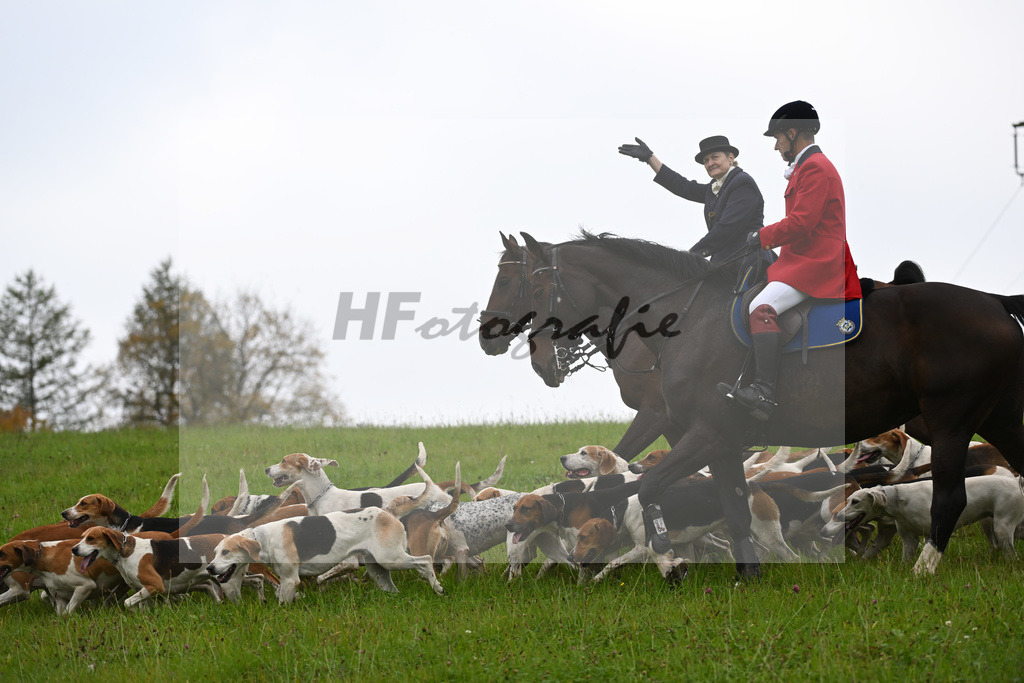 5622280 | hf-fotografie - Realisiert mit Pictrs.com
