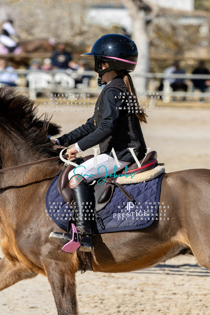 IMG_9173 | s-jay-photography - Realisiert mit Pictrs.com