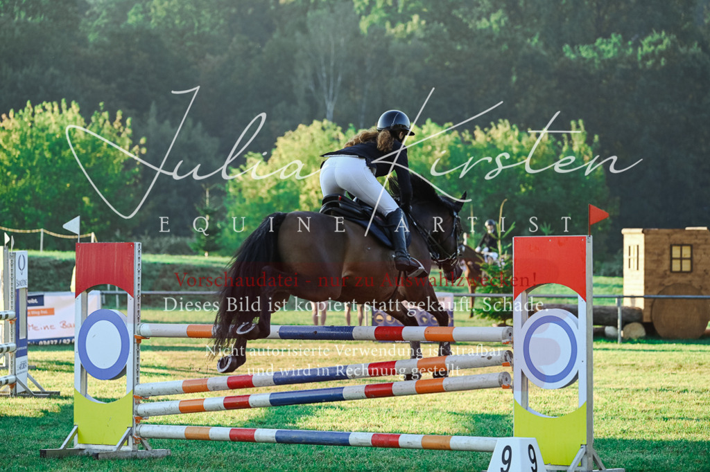 DSC_3733 | Pferde- und Turnierfotografie in Westsachsen. Pferdeportraits, Auftragszeichnungen und intuitive Kunst.
