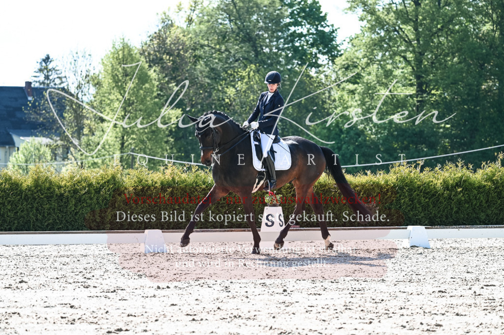20230514_JK-Röhrsdorf-18-435 | Pferde- und Turnierfotografie in Westsachsen. Pferdeportraits, Auftragszeichnungen und intuitive Kunst.